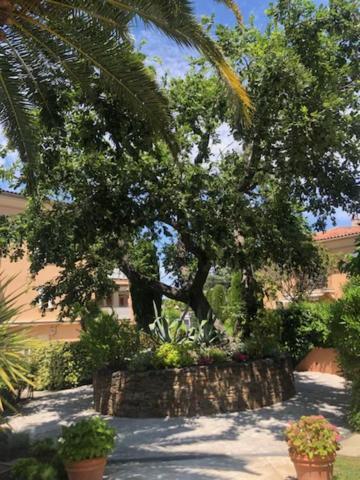 Belle Residence Au Centre De Saint Tropez Avec Piscine Et Garage المظهر الخارجي الصورة